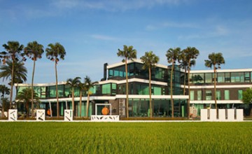 水岸楓林